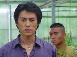 靳东演的电视剧全部（靳东演过的电视剧大全）-