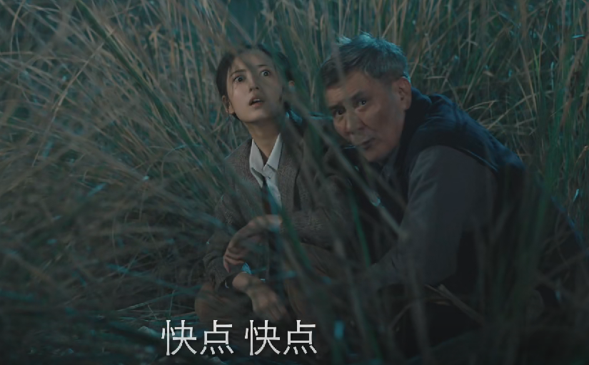 薄冰电视剧剧情介绍（有关薄冰电视剧人物介绍和结局）-