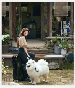 ​爱情电视剧前十名（好看的爱情电视剧宝藏级分享）