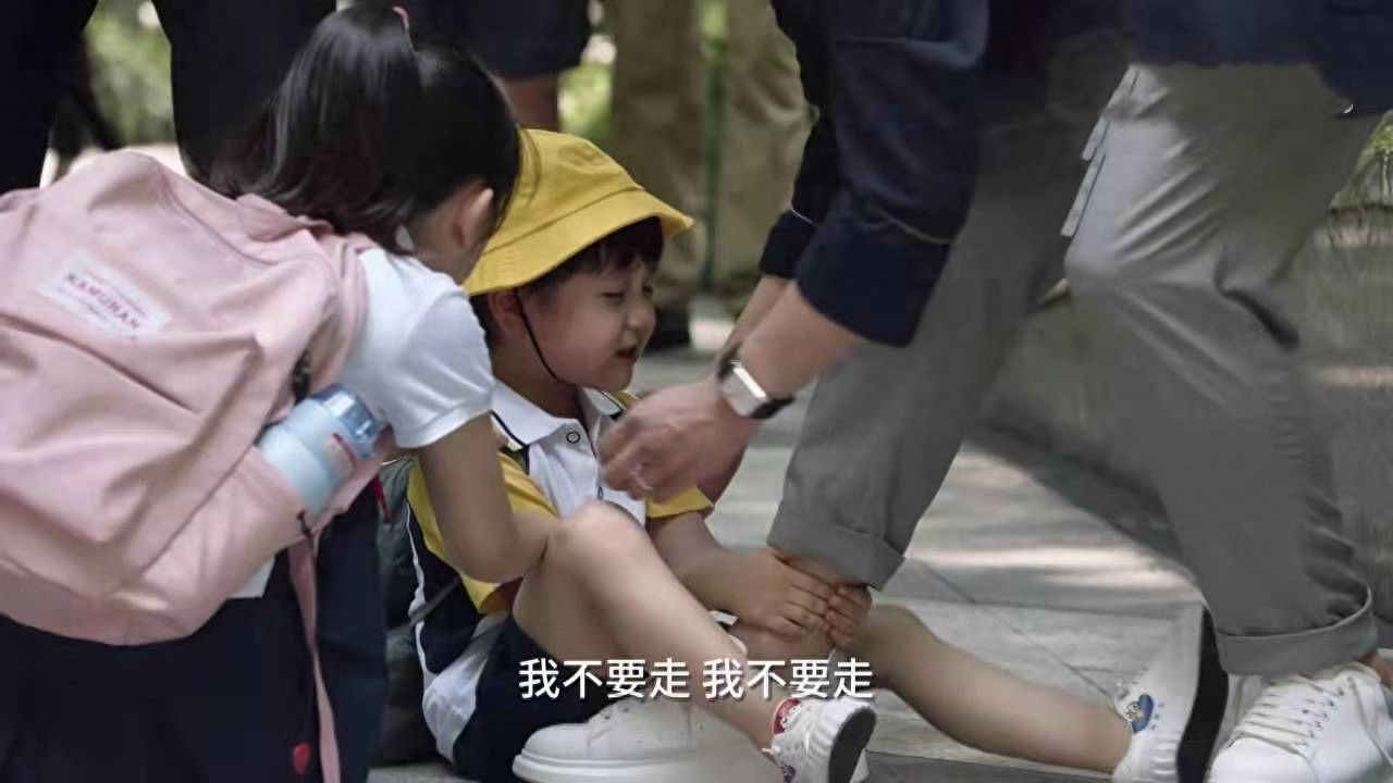 小舍得剧情介绍（小舍得中人物介绍）-