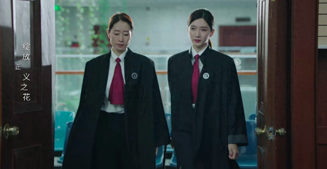 女士的法则最后大结局（女士的法则剧情介绍大结局）-