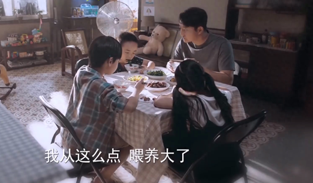 以家人之名剧情介绍（以家人为名电视剧故事梗概）-