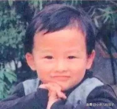 吴卓羲的个人资料简介（吴卓羲主要的电视剧有哪些）-