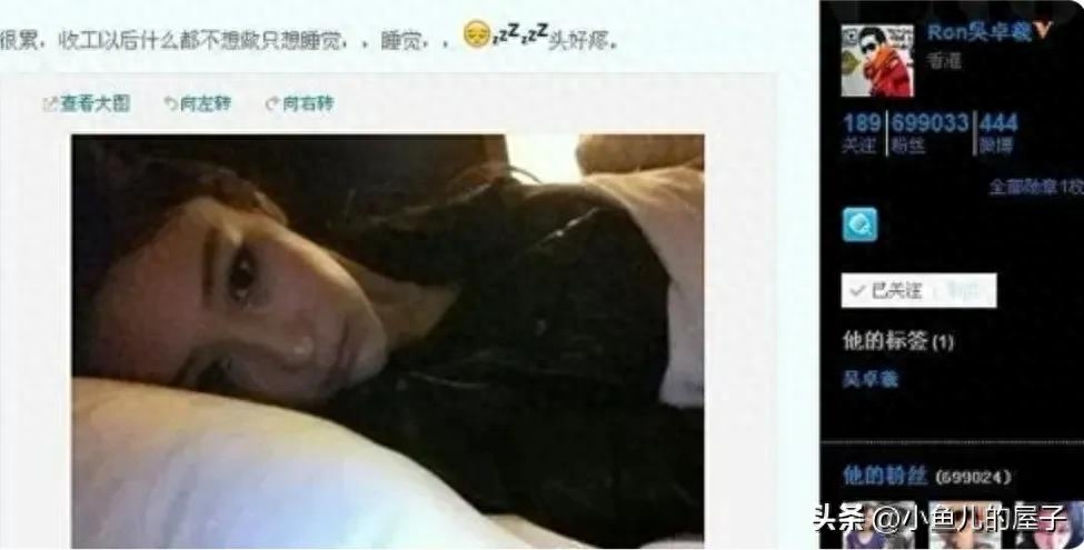 吴卓羲的个人资料简介（吴卓羲主要的电视剧有哪些）-