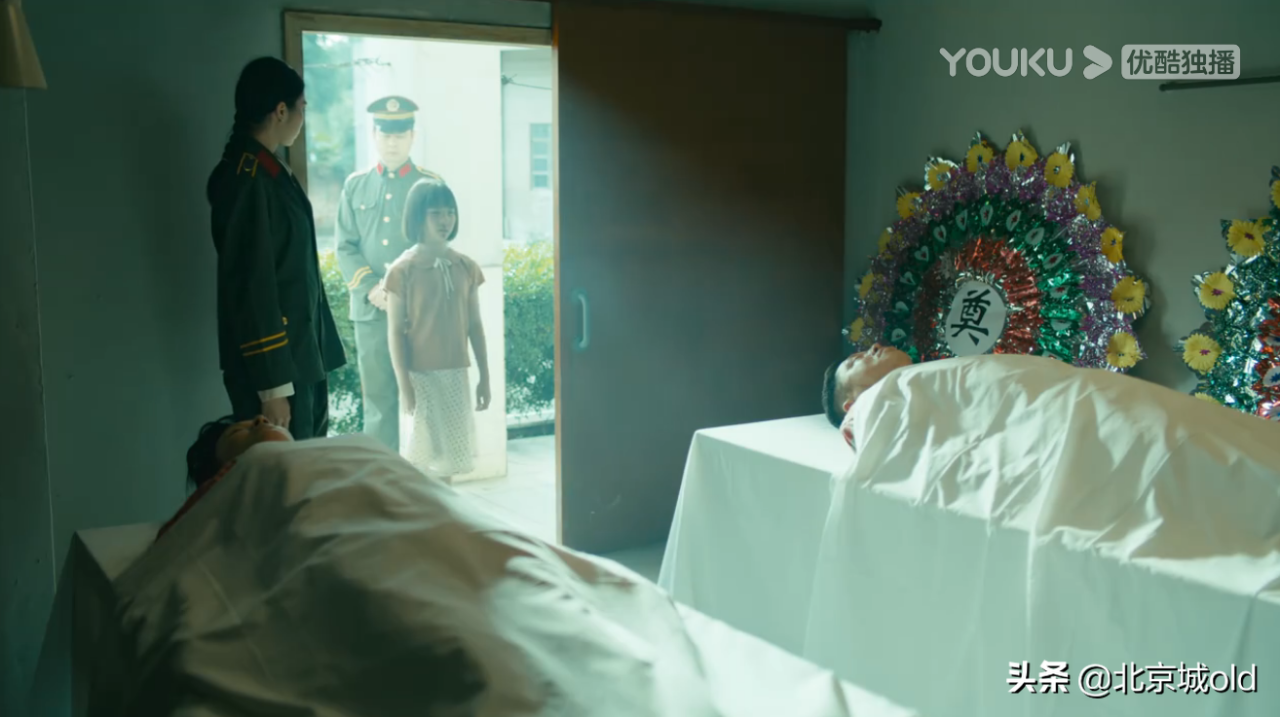 星辰大海电视剧剧情介绍(星辰大海故事梗概)-