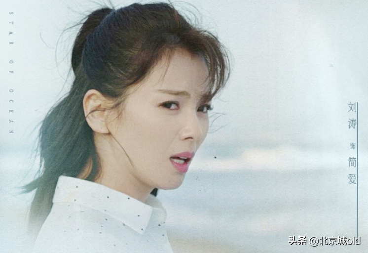 星辰大海电视剧剧情介绍(星辰大海故事梗概)-