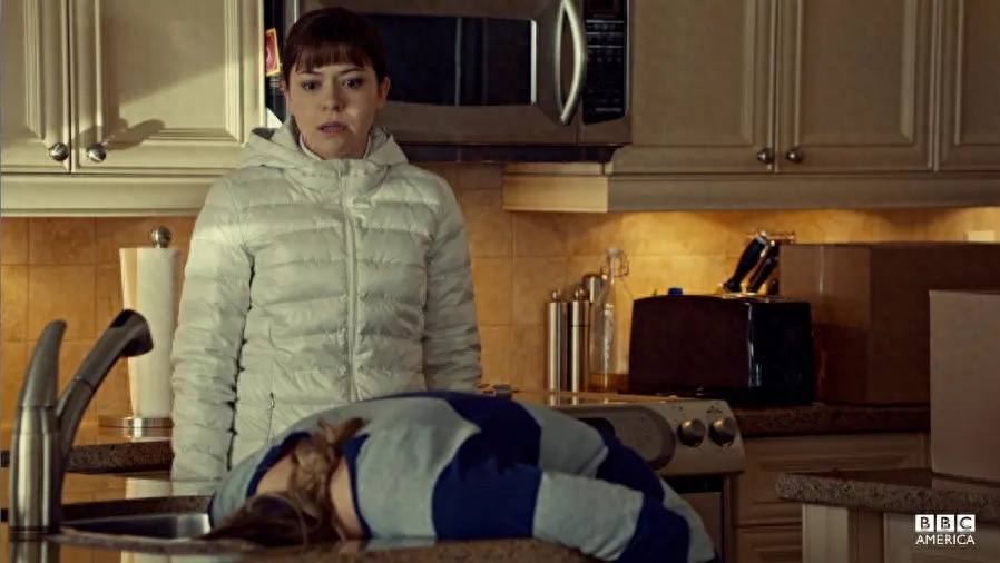 黑色孤儿剧情解析梳理（黑色孤儿剧情介绍）-