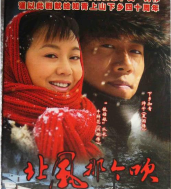 70年代插队的电视剧（十大经典知青电视剧推荐）-