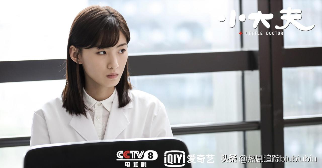 小大夫剧情介绍，小大夫人物介绍-