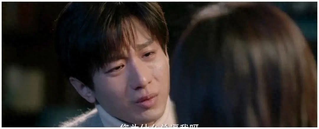 南风知我意剧情介绍(南风知我意剧情太狗血了)-