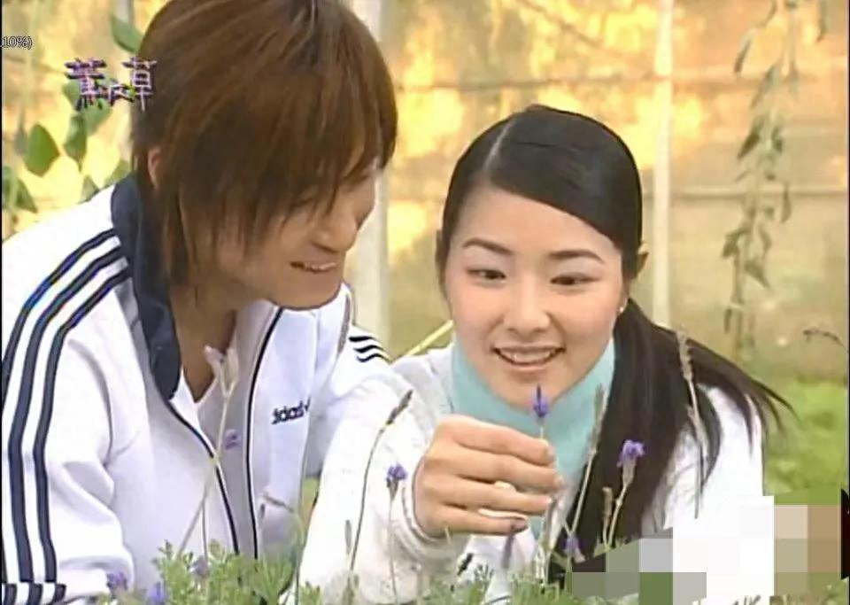 台湾校园偶像剧（盘点15部早期经典台湾青春校园电视剧）-