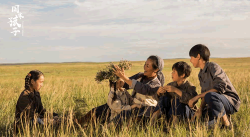 国家孩子剧情介绍(电视剧国家孩子讲述的什么故事)-