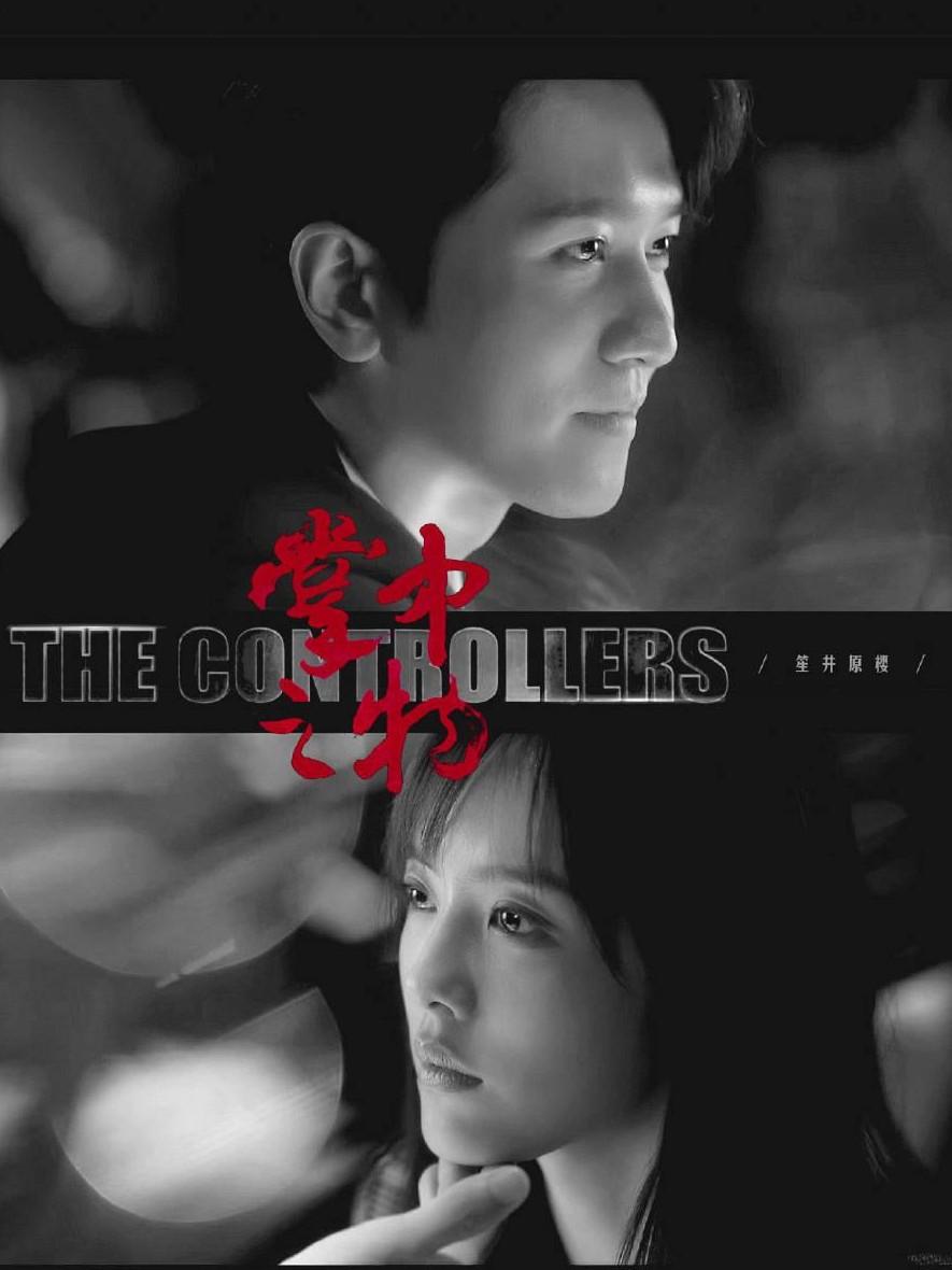 掌中之物小说大概剧情（掌中之物小说讲的是什么内容）-