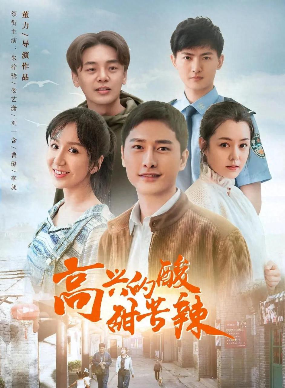 高兴的酸甜苦辣剧情介绍（高兴的酸甜苦辣故事梗概）-