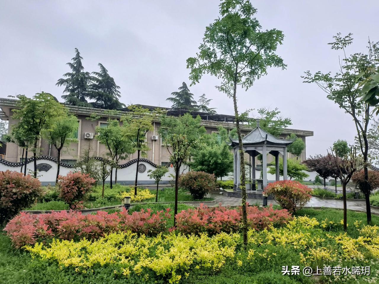 青春之城电视剧剧情介绍(青春之城故事梗概)-