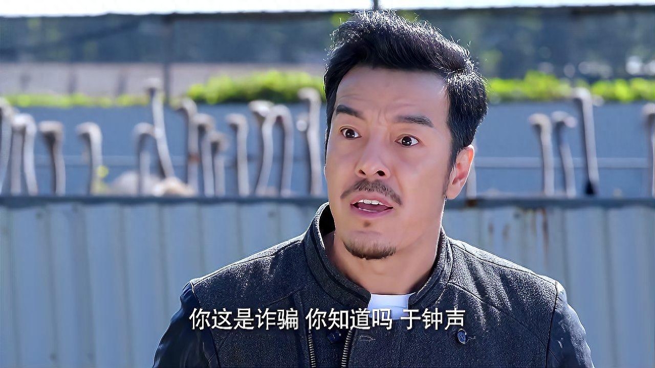 鼓楼外剧情介绍(电视剧鼓楼外故事梗概)-