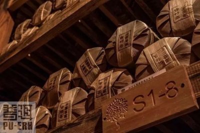 ​普洱茶属于什么茶(普洱茶，究竟算作是什么茶？)