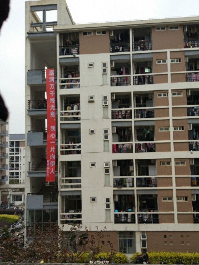 福大女神们，感受到了吗？