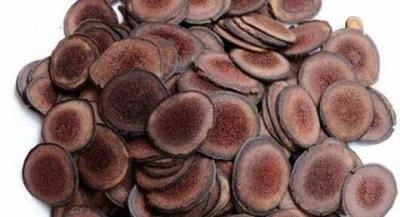 ​鹿茸的功效 鹿茸有副作用吗