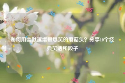 ​如何用幽默逗爆爱爆笑的蘑菇头？分享10个经典笑话和段子