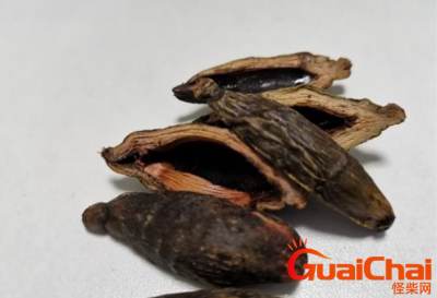 ​一个槟榔可以嚼多久？槟榔原产自哪？