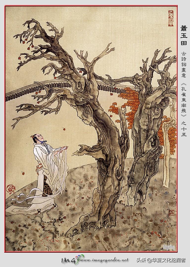 孔雀东南飞的故事简介(古代凄美爱情故事)-