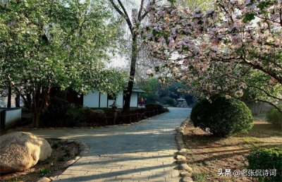 ​以动写静的诗句（以动写静的诗句课外）