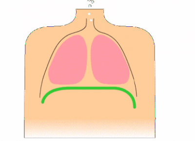 ​人为什么会打嗝 打嗝不是小事，可能预示着疾病，5招简单止嗝