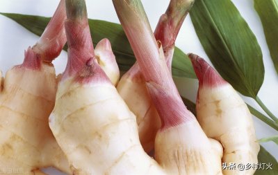 ​生姜种植方法 掌握好的方法与技术，生姜种植并不难