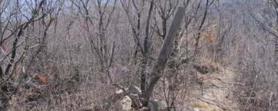 ​我们怎么样利用太阳辨别方向的方法[我们怎么样利用太阳辨别方向英语]