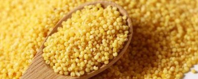 ​小米有祛湿的功效吗 小米 除湿