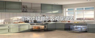 ​厨房小蟑螂怎么彻底消灭掉 厨房小蟑螂怎么彻底消灭干净