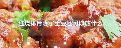 ​土豆烧排骨还可以放什么食材 土豆烧排骨还可以加什么