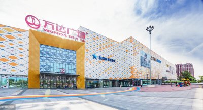 ​万达集团十大股东是谁（万达集团谁控股）