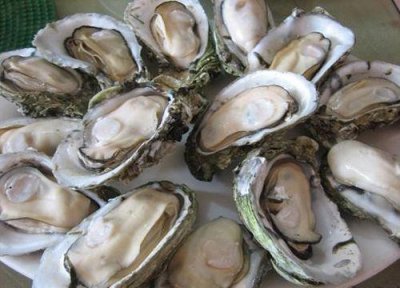 ​生蚝怎么清洗内脏的方法（生蚝怎么清洗内脏 食用注意事项要了解）