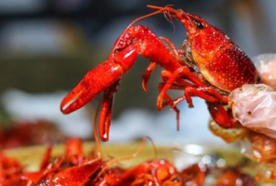 ​孕妇能吃龙虾吗（怀孕后还能吃小龙虾吗？专家的回答让你吃惊）