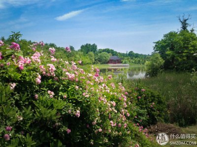 ​ps怎么提高图片清晰度（ps低像素图片转成高清）