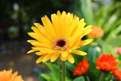 ​努力!就能遇见更好的自己!共勉的句子 努力!就能遇见更好的自己!共勉什么意思