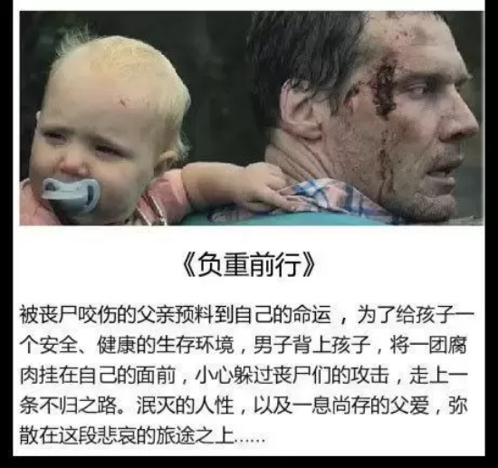 七部引人深思的高分短片推荐