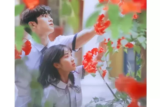 最火的五部韩剧 好看热门的韩剧排名