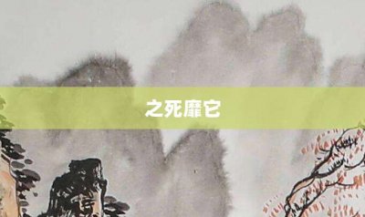 ​之死靡它
