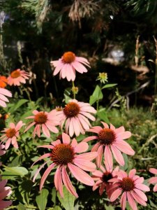 ​“仲夏”、“孟夏”夏天在中国有多少名字？