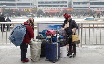 家里养龟十大禁忌 不宜养龟的4个属相