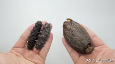 ​泡发海参几种方法图解 泡发海参食用方法
