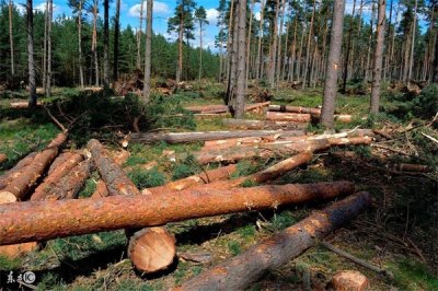 ​立方怎么计算方法（立方怎么计算方法公式）