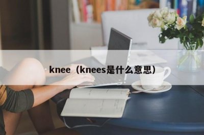 ​knee（knees是什么意思）