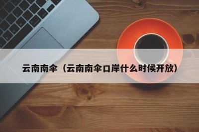 ​云南南伞（云南南伞口岸什么时候开放）