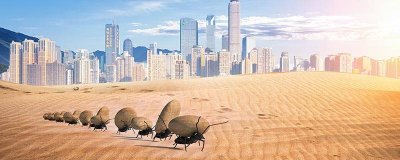 ​家里有蚂蚁怎么办能除根吗小妙招 家里有蚂蚁怎么办能除根吗视频