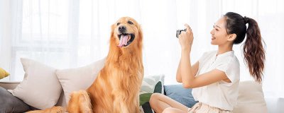 ​狗狗最喜欢吃什么 狗狗最喜欢吃什么草莓