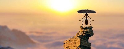 ​怎样除家里蚂蚁 怎么能去除家里的蚂蚁